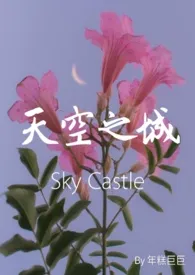 《天空之城|Sky Castle (*N)》1970版小说全集 年糕巨巨完本作品