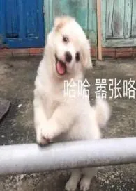 标记作者:白日 全本免费阅读