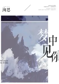 《梦中见你》1970版小说全集 。完本作品