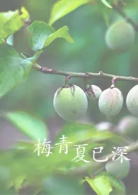 1970全新版本《梅青夏已深(校园1v1H,双性)》 想吃兔兔请扣1作品完结免费阅读