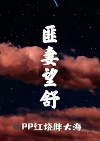 《匪妻望舒(1v1 古言h)》小说大结局 PP红烧胖大海最新力作