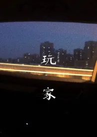 《玩家》1970版小说全集 老痞完本作品