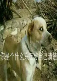 像云朵呀1970全章节阅读 像云朵呀小说免费阅读