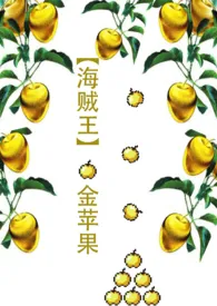 【海贼王】金苹果1970全章节阅读 【海贼王】金苹果小说免费阅读