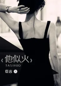 臣言著作《他似火 (军婚 高干 婚恋)》小说全文阅读