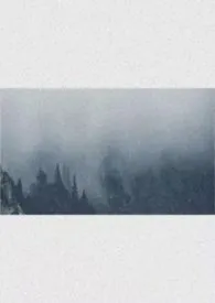愿同尘与灰(综漫)作者:调微 全本免费阅读