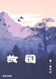 故国小说完结版免费阅读(作者:孟沉灯)