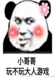 战哥他老婆著作《喜欢你(nph)》小说全文阅读