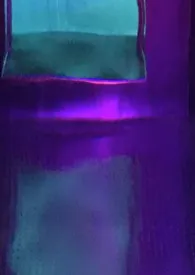 我给星际大佬送终小说完结版免费阅读(作者:岁岁光)