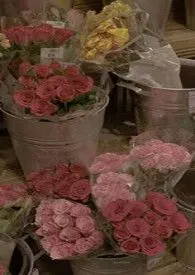 好爱你(婚后 高甜 高H)作者:咕马 全本免费阅读