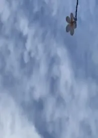 末日乐园小说完结版免费阅读(作者:江畔何)