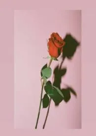 《阿修罗》1970最新章节 阿修罗免费阅读