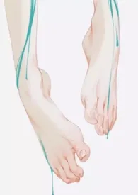 肉便器女高中生小说完结版免费阅读(作者:放肆)