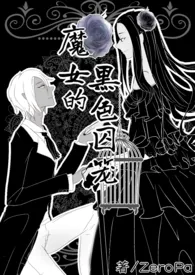 ZeroPa著作《魔女的黑色p囚笼(npH,女攻,主剧情)》小说全文阅读