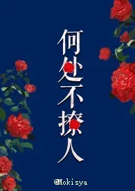 《何处不撩人》1970版小说全集 Mokisya完本作品