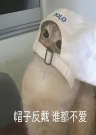 《馋他身子(纯情少男vs伪御姐)》小说大结局 今天也要努力上星耀最新力作