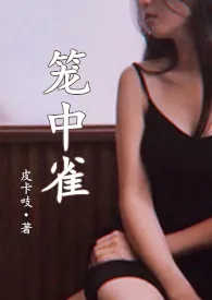笼中雀(强制爱,1v1,h)小说完结版免费阅读(作者:皮卡吱)