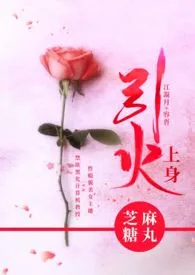 引火上身【都市1v1】作者:芝麻糖丸 全本免费阅读