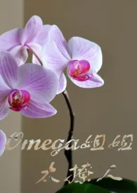 《Omega姐姐太撩人(百合ABO)》1970版小说全集 深山的小竹完本作品