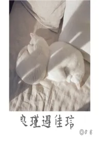 良瑾遇佳琂作者:曲道士 全本免费阅读