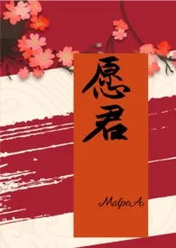 愿君(古言np一男n女)1970全章节阅读 愿君(古言np一男n女)小说免费阅读