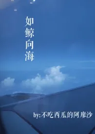 1970全新版本《如鲸向海》 不吃西瓜的阿廖沙作品完结免费阅读