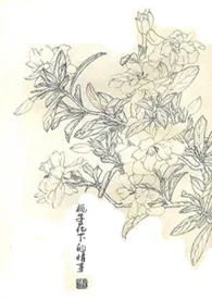 《栀子花下的情事》1970版小说全集 蘑菇云完本作品