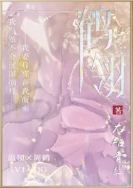 《鹤翎》1970版小说全集 尢绾青丝完本作品