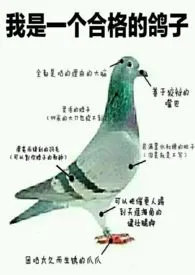 《短篇车库合集》1970最新章节 短篇车库合集免费阅读