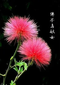 佛子与妖女(GB女攻)作者:Bashanyeyu 全本免费阅读