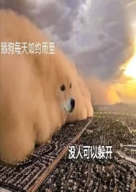 【海贼王】我与伟大航路男神不得不说的故事作者:岛风酱 全本免费阅读