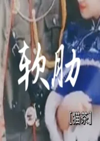 《软肋(民国,h)》小说在线阅读 猫茶作品