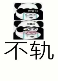 《不轨(NP)》1970版小说全集 岳阳完本作品