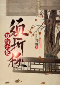 莫待无花须折枝1970全章节阅读 莫待无花须折枝小说免费阅读