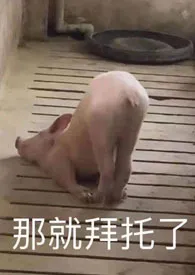 18紧致世界小说完结版免费阅读(作者:魏承泽)