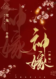 神嫁1970全章节阅读 神嫁小说免费阅读