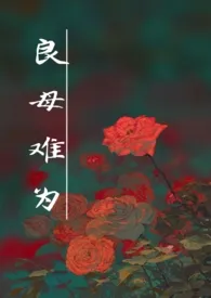 《良母难为(民国 H)》小说在线阅读 春风散作品