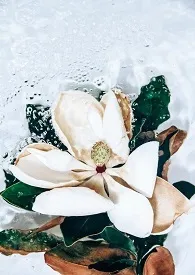 《荆楚生》1970最新章节 荆楚生免费阅读