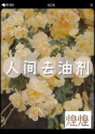 《【穿越1v1】人间去油剂》1970版小说全集 煌煌Crépuscule完本作品