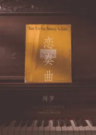 绮罗著作《恋奏曲(1v1 年上)》小说全文阅读