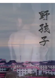 野孩子小说完结版免费阅读(作者:普通椰子酱)