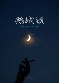 鹅绒锁小说完结版免费阅读(作者:春眠药水)