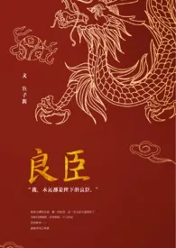 良臣1970全章节阅读 良臣小说免费阅读