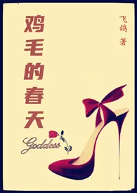 鸡毛的春天作者:飞鸽 全本免费阅读