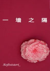一墙之隔作者:Softsisteri_ 全本免费阅读