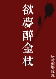 《欲梦醉金枝》1970版小说全集 手冲咖灰完本作品