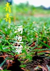 青青河边草小说完结版免费阅读(作者:玛丽黄莲)