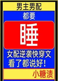 《男主男配都要睡(h 1v2 快穿)》小说在线阅读 小糖渍作品