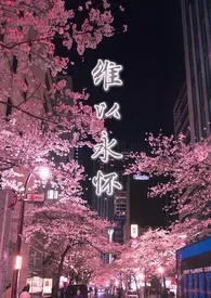 《维以永怀》1970版小说全集 炒米粉加辣完本作品