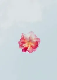 打赏书作者:你好好想想 全本免费阅读